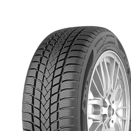 205/50R17 93V XL Milestone Maxxgrip M+S