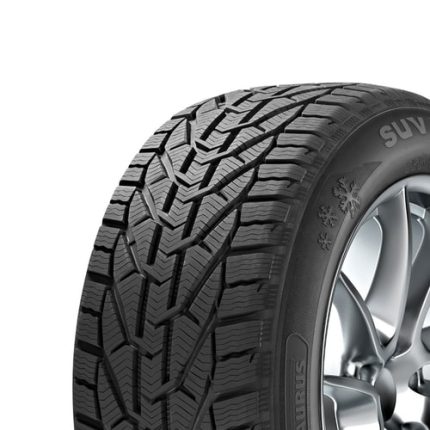 205/50R17 93V XL Taurus Winter