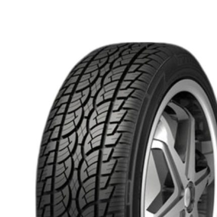 255/30R22 95V XL Nankang Sp-7